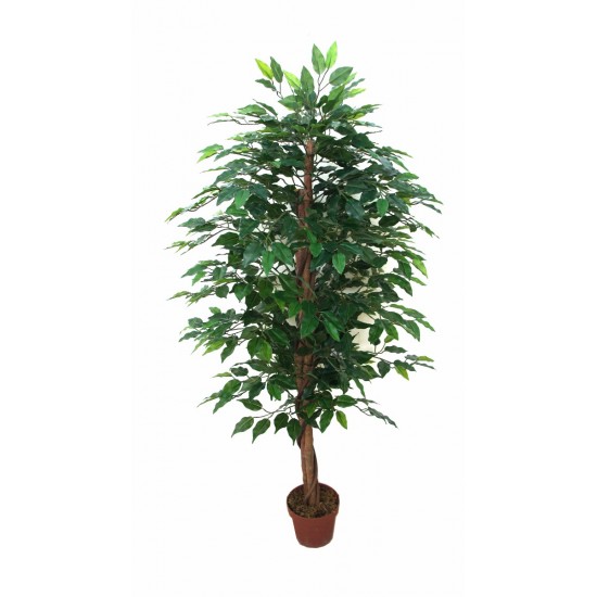 Artificial Bushy Ficus Tree 145cm Artificial Bushy Ficus Tree 145cm