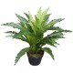 Artificial Birds Nest Fern 55cm Artificial Birds Nest Fern 55cm