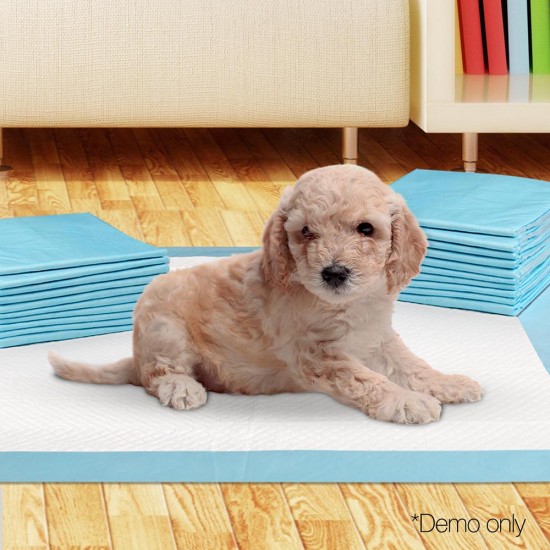 100 Piece Absorbent Pet Toilet Training Pads - Blue 100 Piece Absorbent Pet Toilet Training Pads - Blue