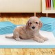 100 Piece Absorbent Pet Toilet Training Pads - Blue 100 Piece Absorbent Pet Toilet Training Pads - Blue