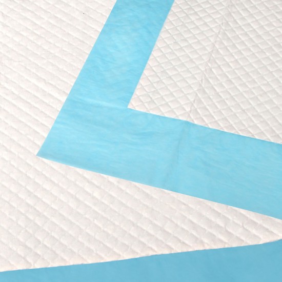 200 Piece Absorbent Pet Toilet Training Pads - Blue 200 Piece Absorbent Pet Toilet Training Pads - Blue