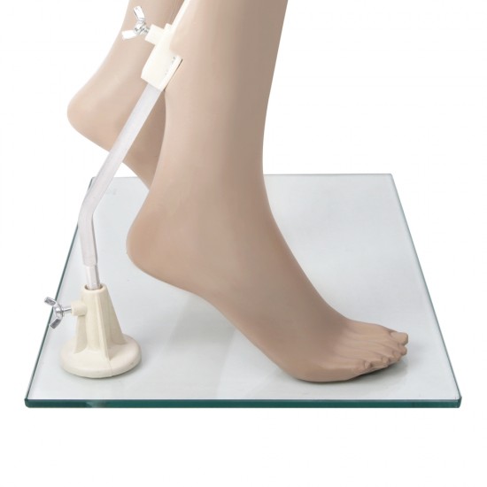 175cm Tall Full Body Female Mannequin - Skin Coloured 175cm Tall Full Body Female Mannequin - Skin Coloured