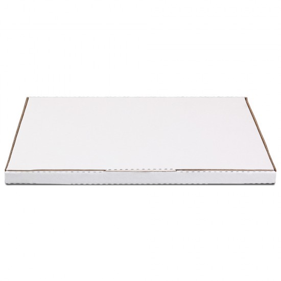 100x Mailing Box Super Flat Rigid Envelope Mailer Diecut A4 310x220x16mm 100x Mailing Box Super Flat Rigid Envelope Mailer Diecut A4 310x220x16mm