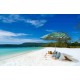 Beach Umbrella 180cm Geo Palm Design Beach Umbrella 180cm Geo Palm Design