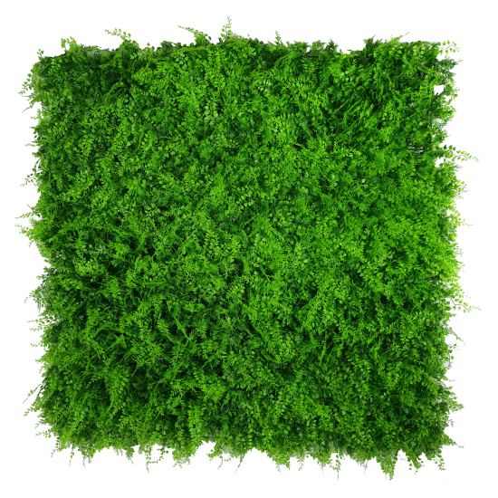 Mediterranean Fern Vertical Garden UV Stabilised 1m X 1m Mediterranean Fern Vertical Garden UV Stabilised 1m X 1m
