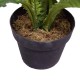 Artificial Birds Nest Fern 55cm Artificial Birds Nest Fern 55cm
