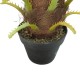 80cm Artificial Phoenix Palm 80cm Artificial Phoenix Palm