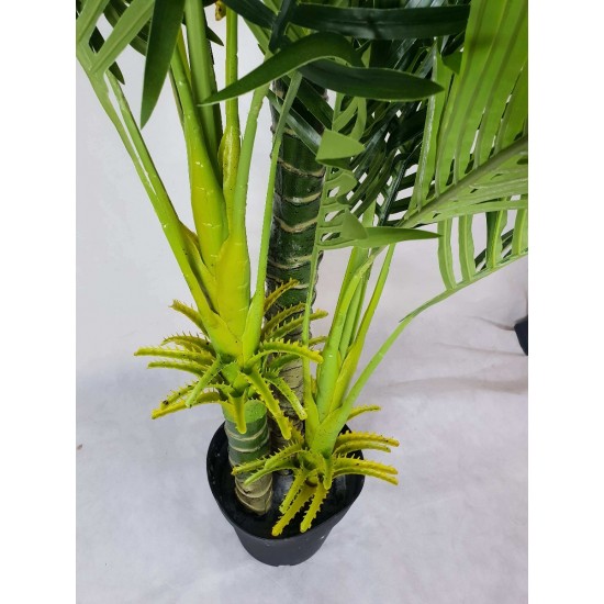 Multi Trunk Hawaii Palm 180cm Multi Trunk Hawaii Palm 180cm