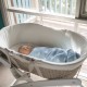 Bbc Moses Basket Bbc Moses Basket