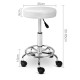 Artiss PU Leather Swivel Salon Stool - White Artiss PU Leather Swivel Salon Stool - White