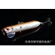 8X 9.5cm Popper Poppers Fishing Lure Lures Surface Tackle Fresh Saltwater 8X 9.5cm Popper Poppers Fishing Lure Lures Surface Tackle Fresh Saltwater